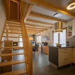 Chalet Ambigu By Interhome Ovronnaz